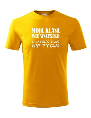 T-shirt męski dziś nie pytam - 10 kolorów do wyboru