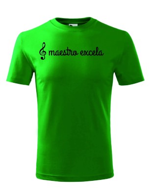 T-shirt męski maestro excela- 10 kolorów do wyboru