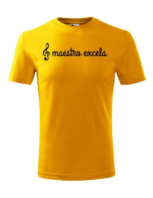 T-shirt męski maestro excela- 10 kolorów do wyboru