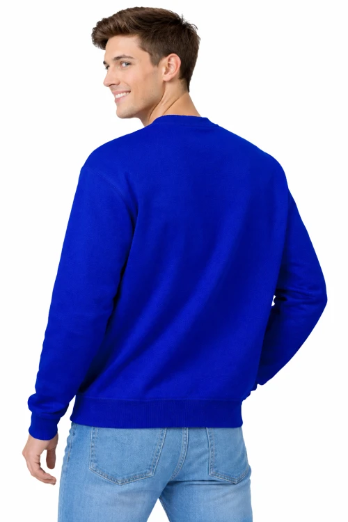 Chabrowa bluza sportowa męska z długim rekawem widok z tyłu.png