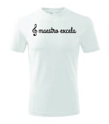 t-shirt-meski-maestro-excela-10-kolorow-do-wyboru
