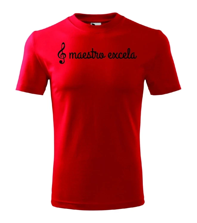 t-shirt-meski-maestro-excela-10-kolorow-do-wyboru