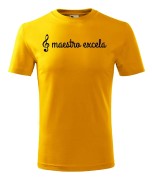 t-shirt-meski-maestro-excela-10-kolorow-do-wyboru