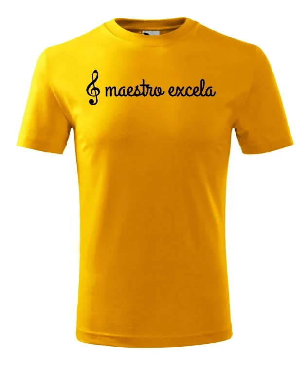 t-shirt-meski-maestro-excela-10-kolorow-do-wyboru