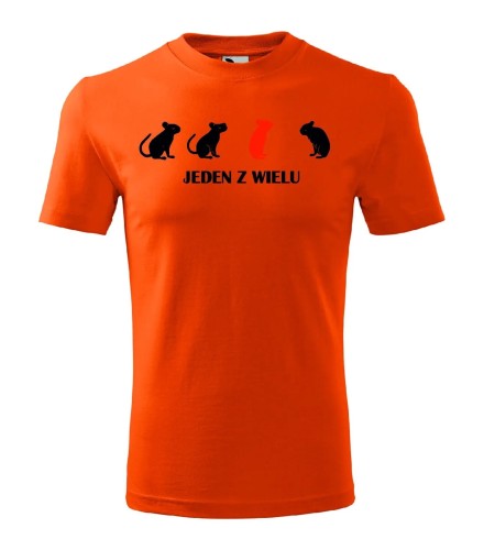 t-shirt-meski-jeden-z-wielu-10-kolorow-do-wyboru