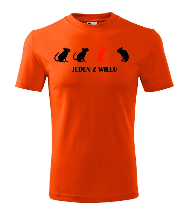 t-shirt-meski-jeden-z-wielu-10-kolorow-do-wyboru