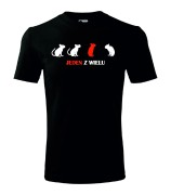 t-shirt-meski-jeden-z-wielu-10-kolorow-do-wyboru