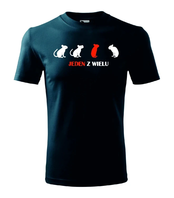 t-shirt-meski-jeden-z-wielu-10-kolorow-do-wyboru