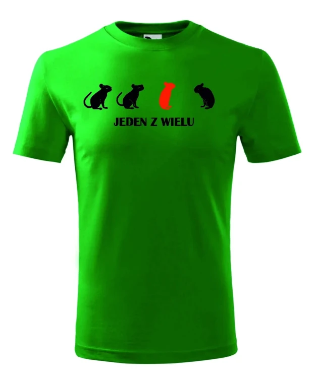 t-shirt-meski-jeden-z-wielu-10-kolorow-do-wyboru