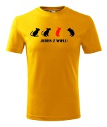 t-shirt-meski-jeden-z-wielu-10-kolorow-do-wyboru