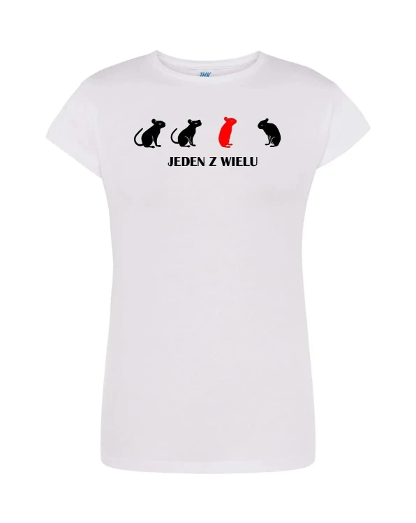 t-shirt-damski-jeden-z-wielu-10-kolorow-do-wyboru
