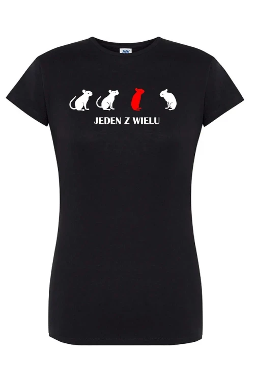 t-shirt-damski-jeden-z-wielu-10-kolorow-do-wyboru