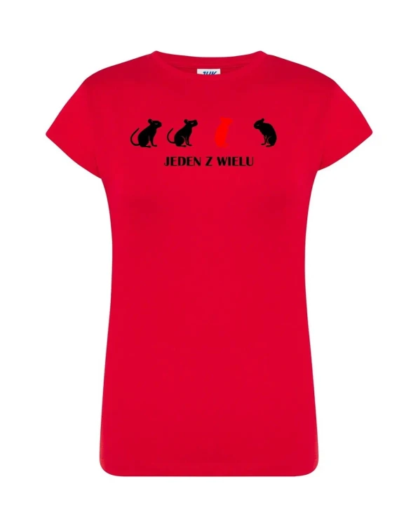 t-shirt-damski-jeden-z-wielu-10-kolorow-do-wyboru
