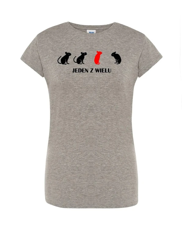 t-shirt-damski-jeden-z-wielu-10-kolorow-do-wyboru