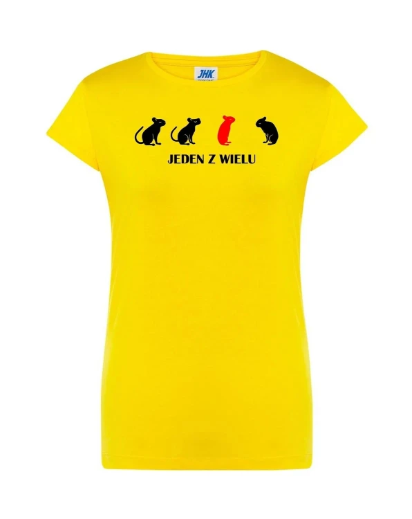 t-shirt-damski-jeden-z-wielu-10-kolorow-do-wyboru