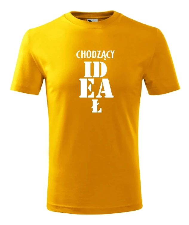t-shirt-meski-chodzacy-idea-10-kolorow-do-wyboru