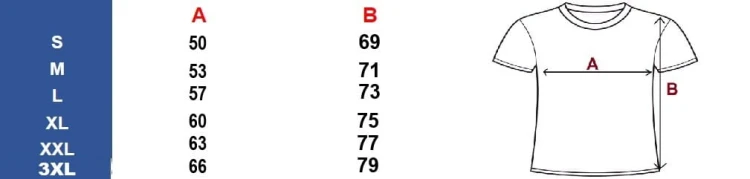 meska-elegancka-koszulka-polo-biaa-czarne-wstawki