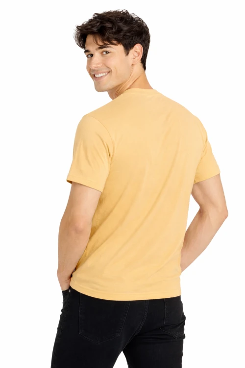 T-shirt męski z krótkim rękawem gramatura 190g pisakowy widok z tyłu.png